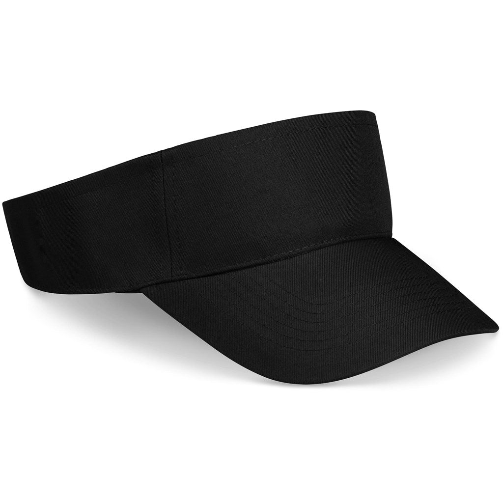 Sun Visor