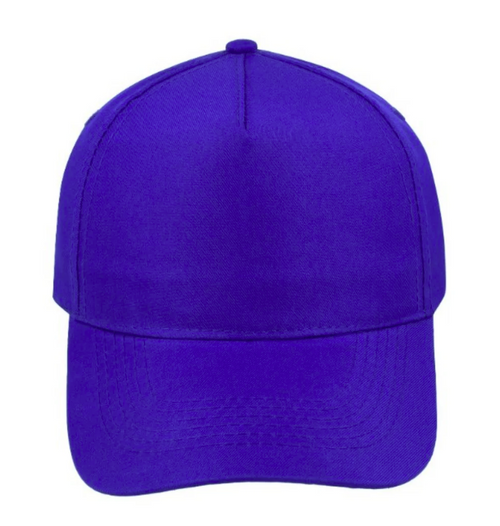 5 Panel Acrylic Cap